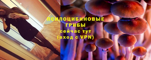 не бодяженный Переславль-Залесский