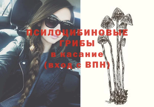 не бодяженный Переславль-Залесский